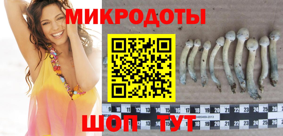 Шали  Псилоцибиновые грибы мухоморы  Вход с VPN  Галлюциногенные грибы Cubensis 